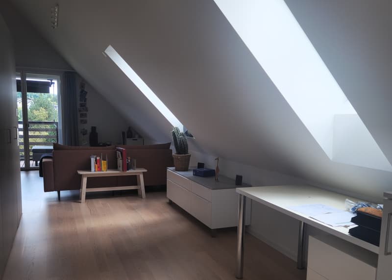 1½ ZI-WOHNUNG IN SEUZACH (ZH), MÖBLIERT, TEMPORÄR (1)