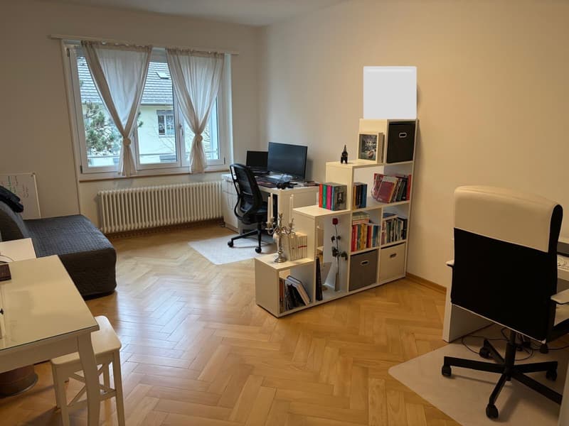 4 ZI-WOHNUNG IN BERN - SULGENAU, MÖBLIERT, TEMPORÄR (6)
