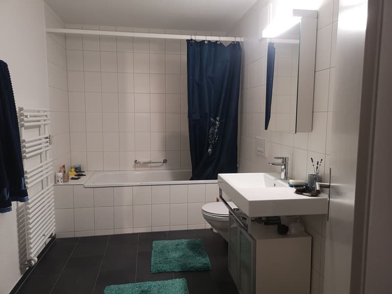 3½ ZI-WOHNUNG IN WABERN (BE), MÖBLIERT, TEMPORÄR (5)