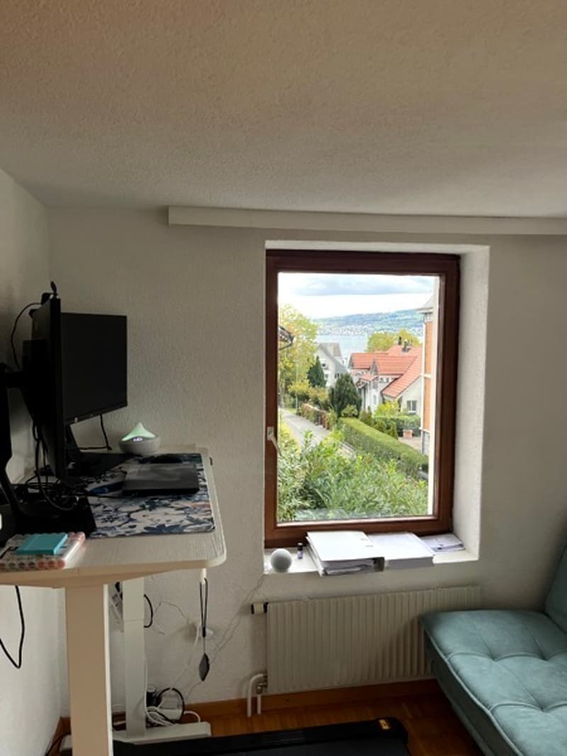 3½ ZI-WOHNUNG IN WÄDENSWIL (ZH), MÖBLIERT, TEMPORÄR (9)