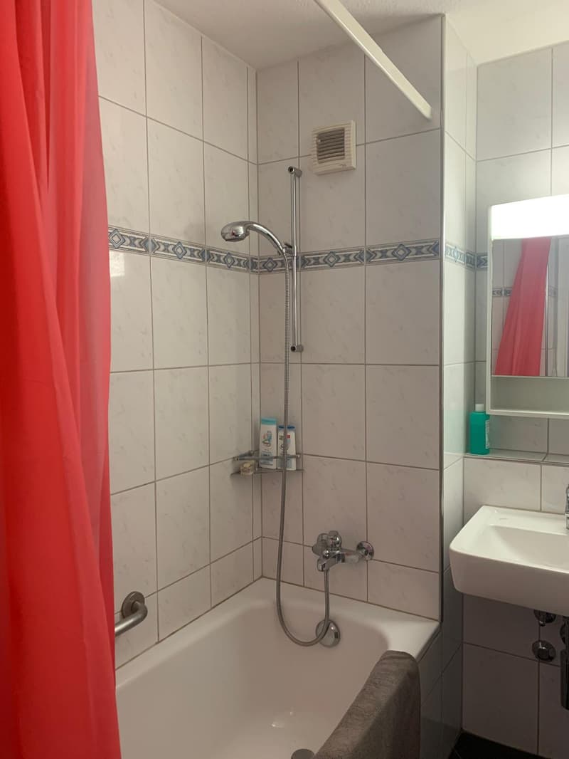 4 ZI-WOHNUNG IN ZÜRICH, MÖBLIERT, TEMPORÄR (9)
