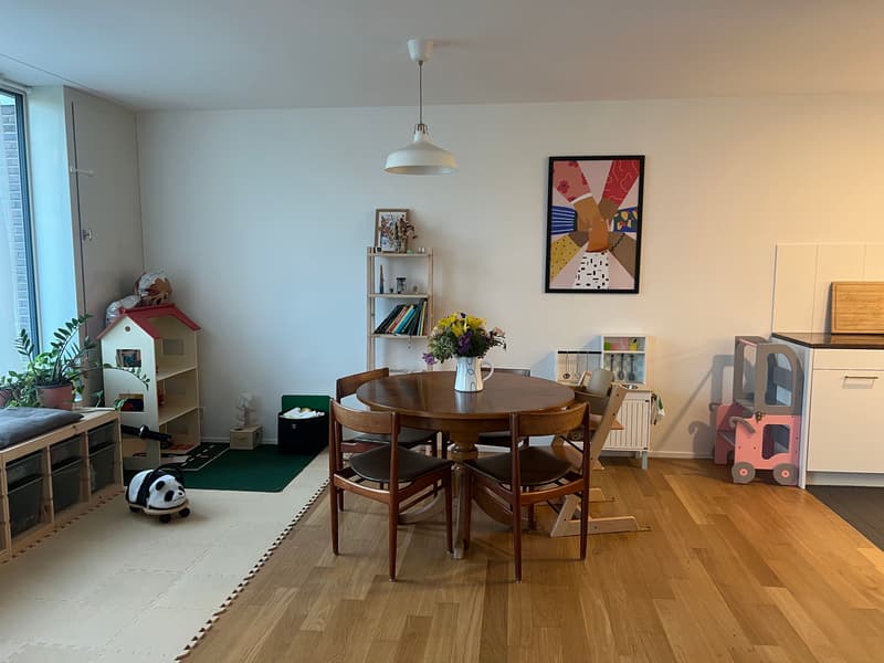 4½ ZI-WOHNUNG IN WINTERTHUR - WÜLFLINGEN, MÖBLIERT, TEMPORÄR (2)