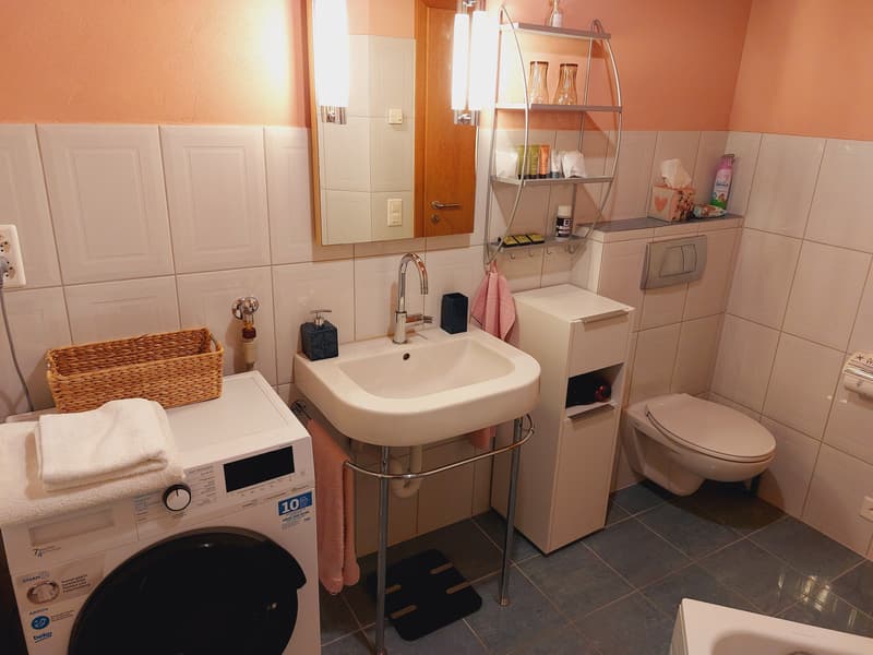 3½ ZI-WOHNUNG IN RAFZ (ZH), MÖBLIERT, TEMPORÄR (9)