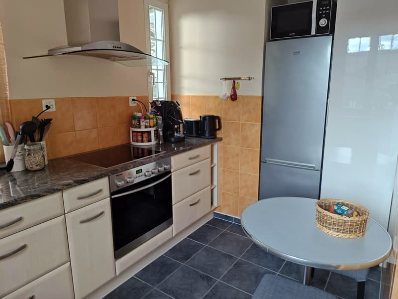 3½ ZI-WOHNUNG IN RAFZ (ZH), MÖBLIERT, TEMPORÄR (5)
