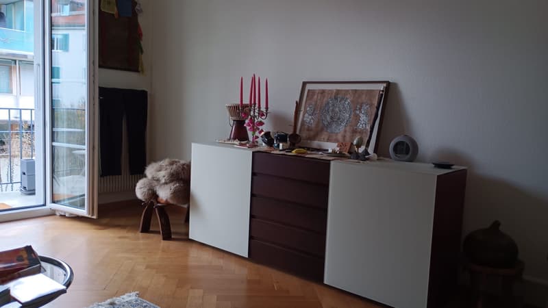 2 ZI-WOHNUNG IN BERN - OBSTBERG/SCHOSSHALDE, MÖBLIERT, TEMPORÄR (3)