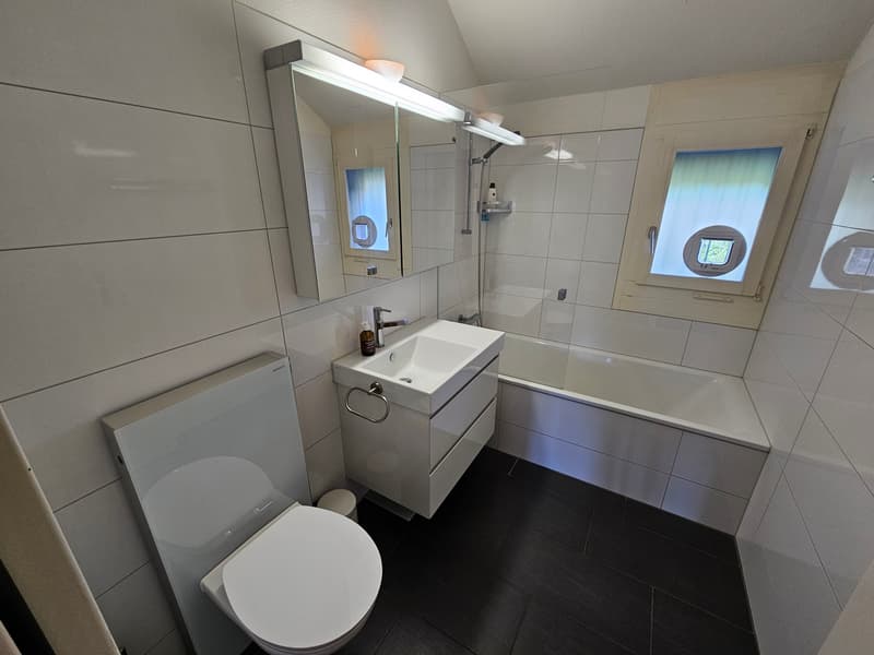 3½ ZI-WOHNUNG IN ZÜRICH - KREIS 9 ALBISRIEDEN, MÖBLIERT, TEMPORÄR (10)