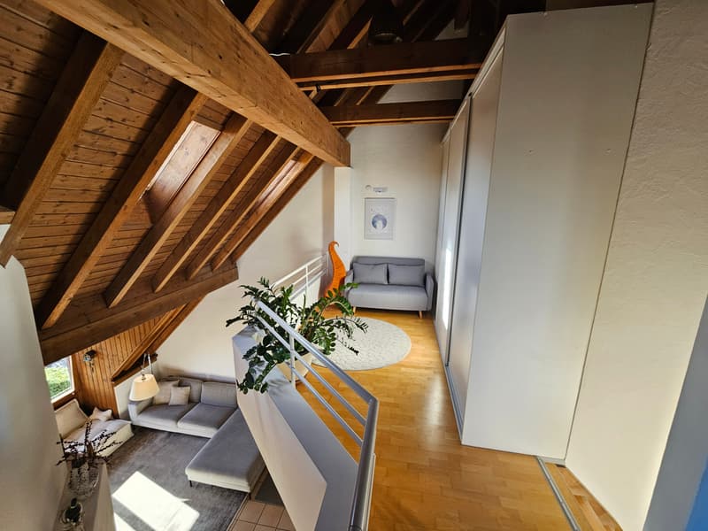3½ ZI-WOHNUNG IN ZÜRICH - KREIS 9 ALBISRIEDEN, MÖBLIERT, TEMPORÄR (5)