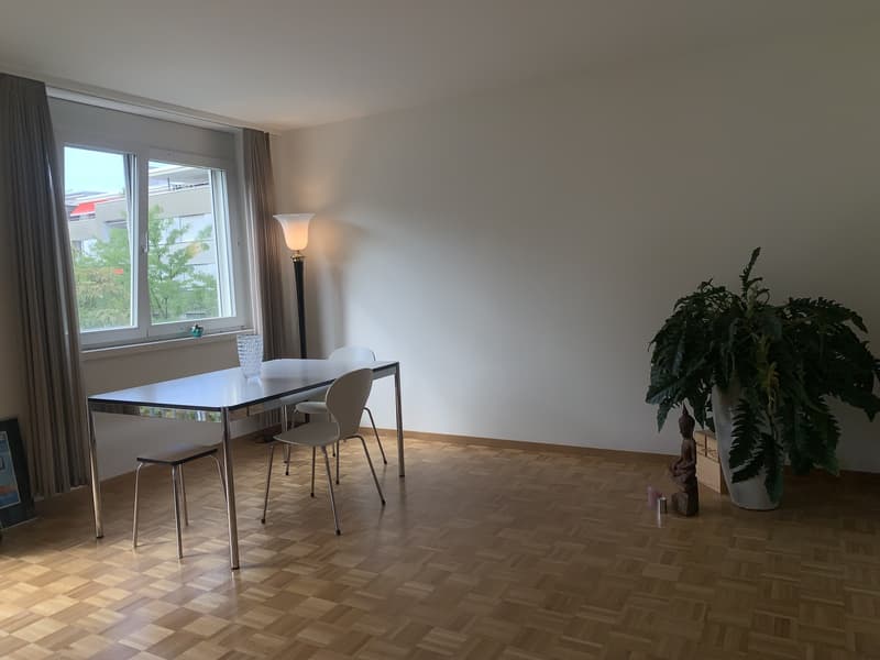 2 ZI-WOHNUNG IN BASEL - KLYBECK, MÖBLIERT, TEMPORÄR (3)