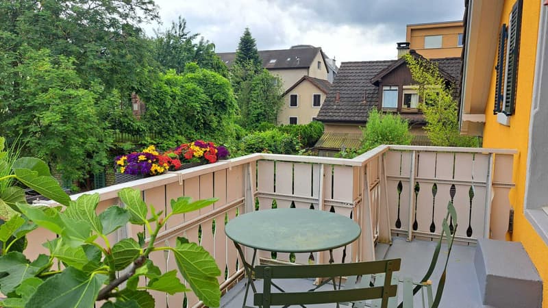 4 ZIMMER-HAUS IN WINTERTHUR - TÖSS, MÖBLIERT, TEMPORÄR (10)