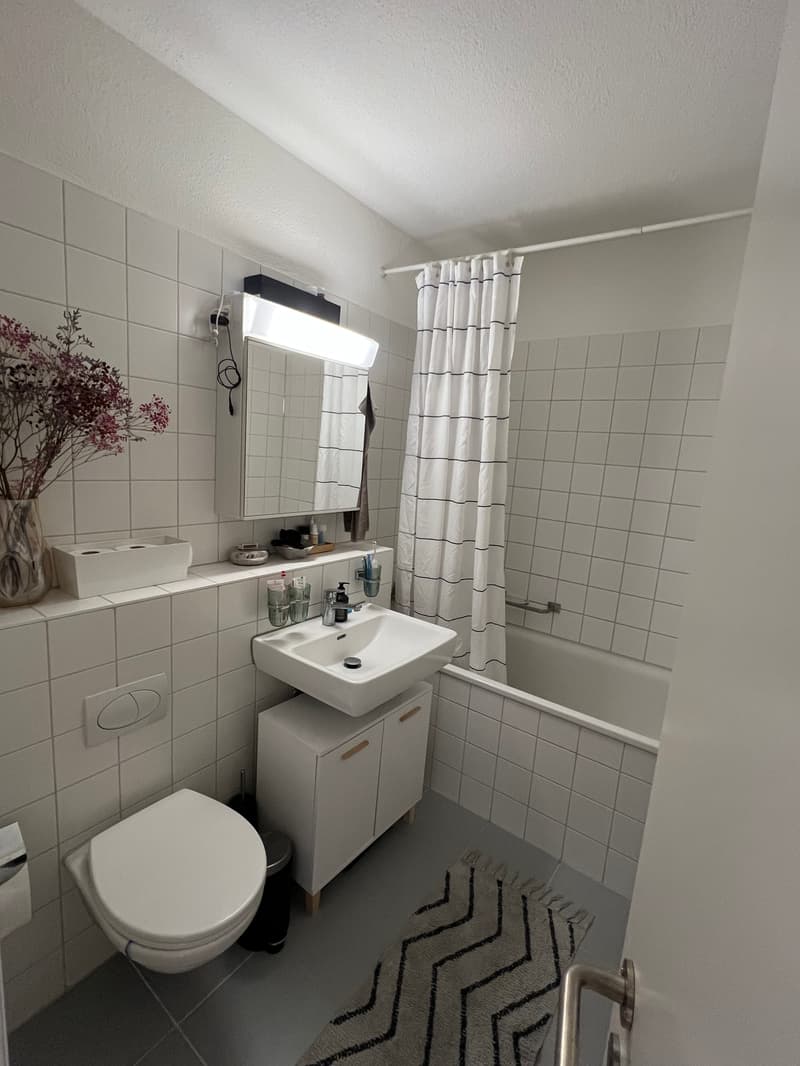 2 ZI-WOHNUNG IN ZÜRICH - KREIS 3 WIEDIKON, MÖBLIERT, TEMPORÄR (5)
