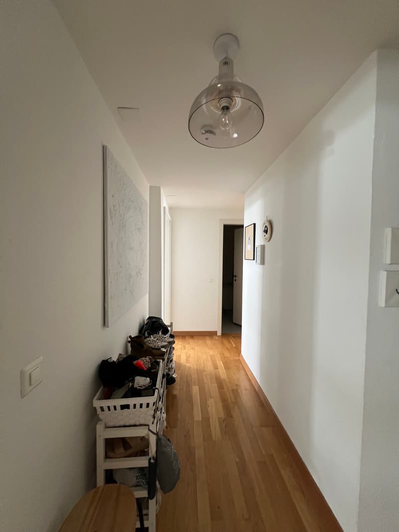 2 ZI-WOHNUNG IN ZÜRICH - KREIS 3 WIEDIKON, MÖBLIERT, TEMPORÄR (2)