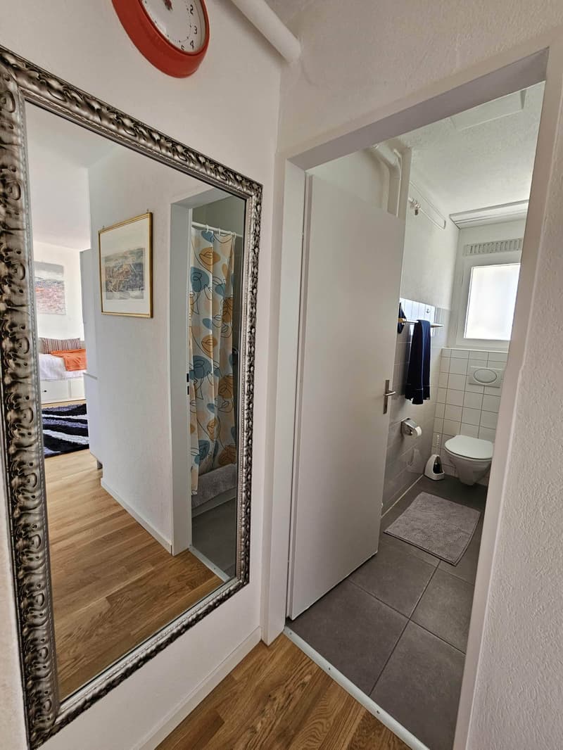 STUDIO IN BERN - WABERN, MÖBLIERT (5)