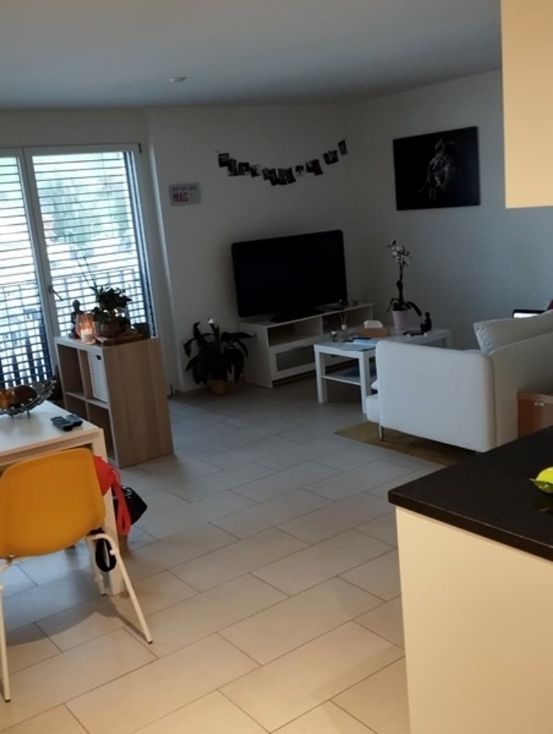 2½ ZI-WOHNUNG IN SCHÜBELBACH (ZH), MÖBLIERT, TEMPORÄR (2)