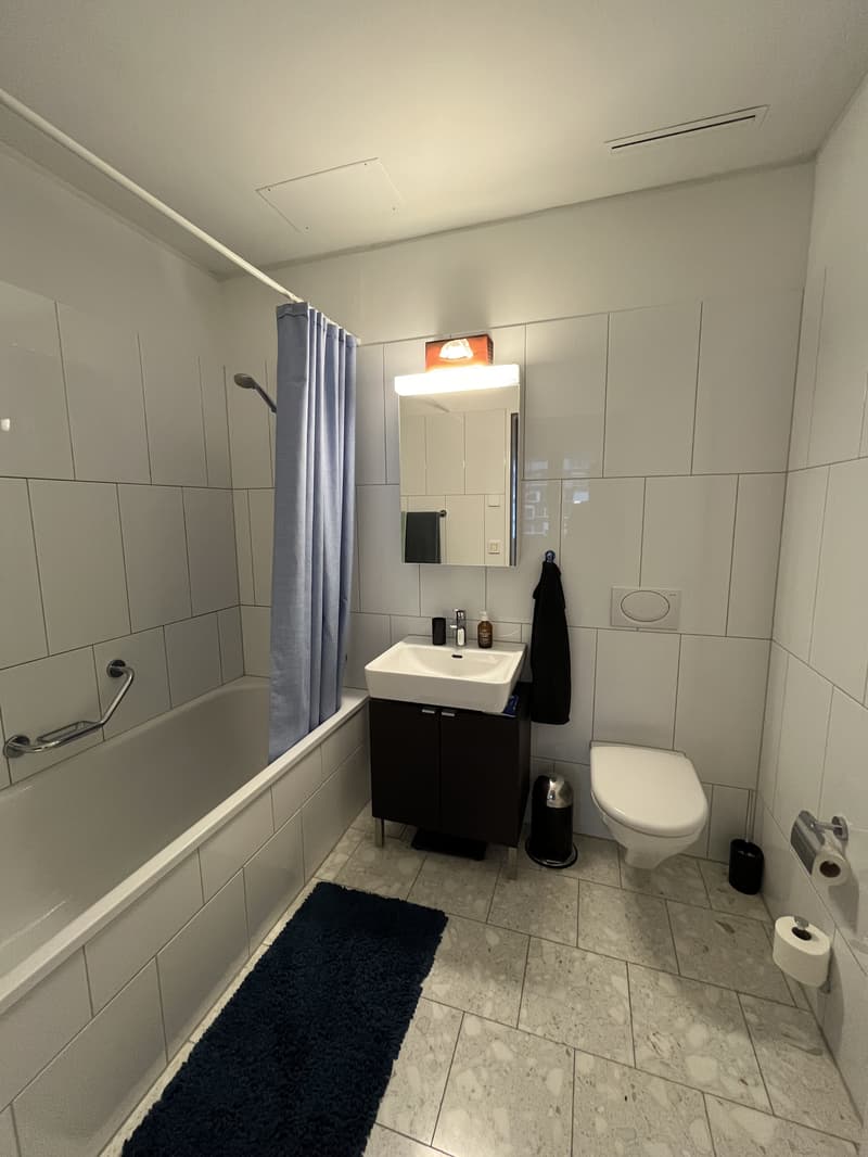 3½ ZI-WOHNUNG IN ZÜRICH - KREIS 5 ESCHER WYSS, MÖBLIERT, TEMPORÄR (9)