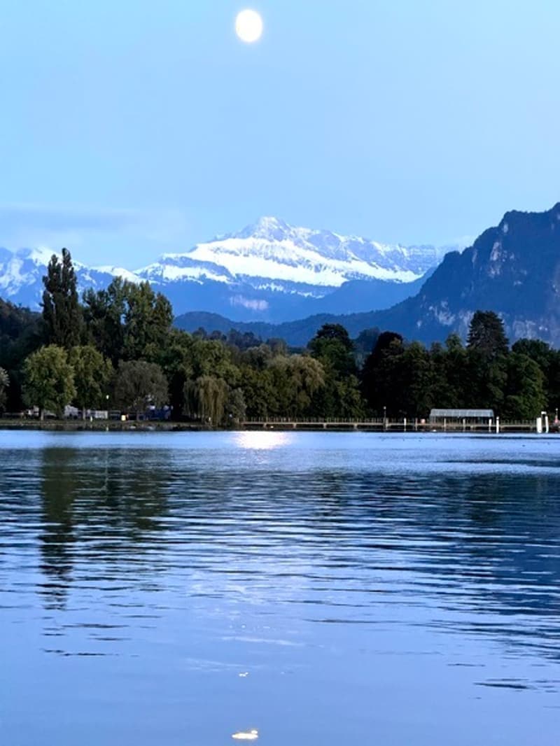 2½ ZI-WOHNUNG IN LUZERN, MÖBLIERT, TEMPORÄR (9)