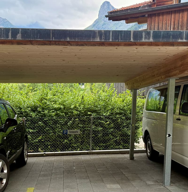 2½ ZI-WOHNUNG IN KANDERSTEG (BE), MÖBLIERT, TEMPORÄR (8)
