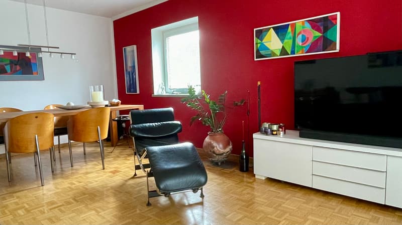 FÜR KATZENLIEBHABER IN RÜSCHLIKON (ZH), MÖBLIERT, TEMPORÄR (2)