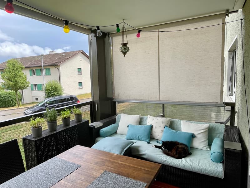 FÜR KATZENLIEBHABER IN RÜSCHLIKON (ZH), MÖBLIERT, TEMPORÄR (8)