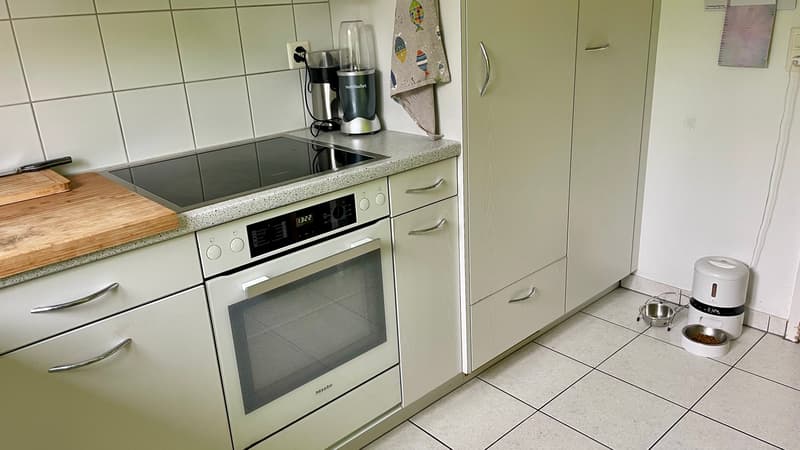 FÜR KATZENLIEBHABER IN RÜSCHLIKON (ZH), MÖBLIERT, TEMPORÄR (4)
