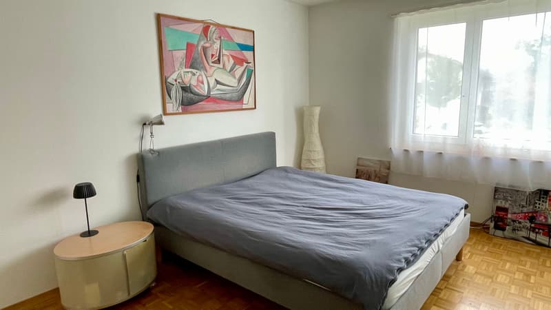 FÜR KATZENLIEBHABER IN RÜSCHLIKON (ZH), MÖBLIERT, TEMPORÄR (5)