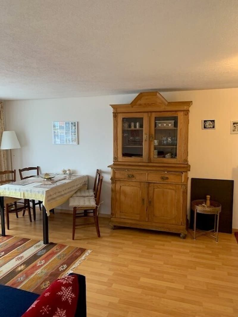 2½ ZI-WOHNUNG IN GWATT (THUN), MÖBLIERT, TEMPORÄR (4)