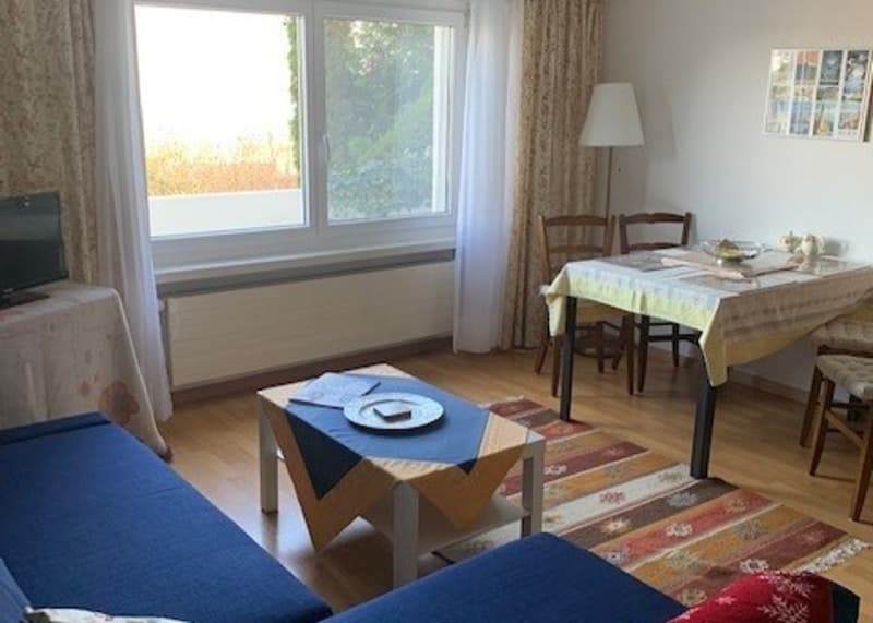 2½ ZI-WOHNUNG IN GWATT (THUN), MÖBLIERT, TEMPORÄR (1)