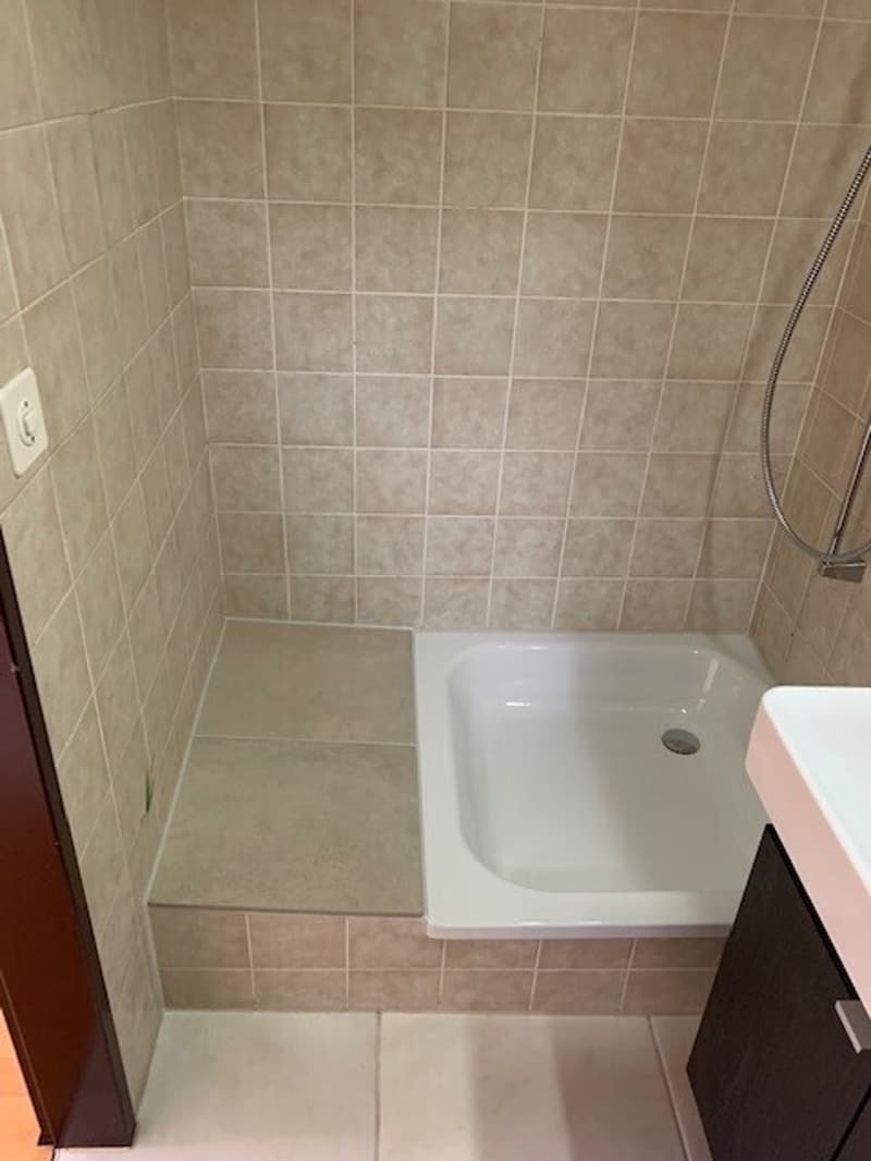2½ ZI-WOHNUNG IN GWATT (THUN), MÖBLIERT, TEMPORÄR (10)