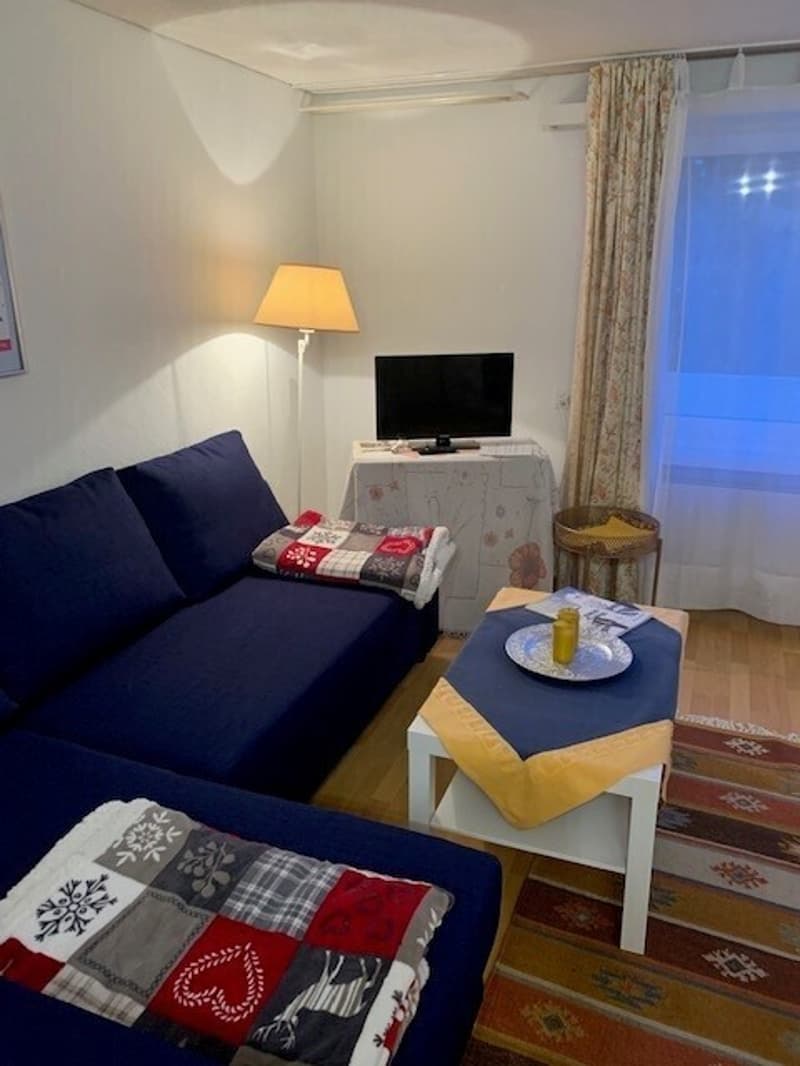 2½ ZI-WOHNUNG IN GWATT (THUN), MÖBLIERT, TEMPORÄR (2)