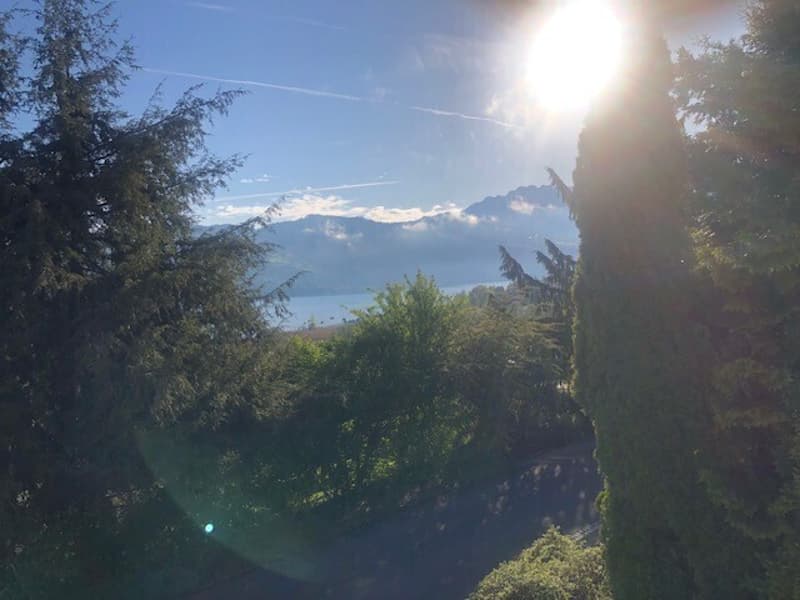 2½ ZI-WOHNUNG IN GWATT (THUN), MÖBLIERT, TEMPORÄR (13)