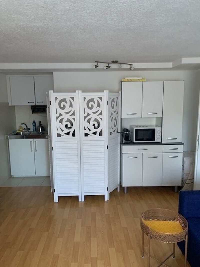 2½ ZI-WOHNUNG IN GWATT (THUN), MÖBLIERT, TEMPORÄR (6)
