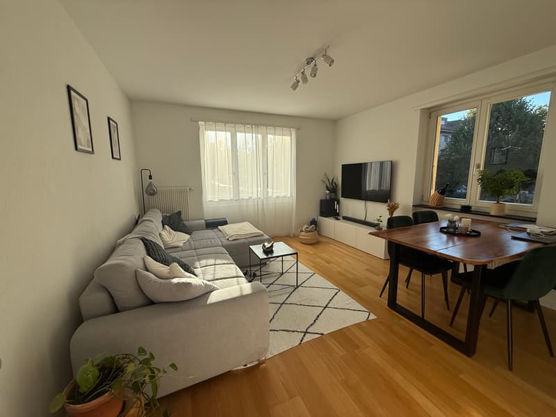 3 ZI-WOHNUNG IN BERN - MATTENHOF, MÖBLIERT, TEMPORÄR (1)