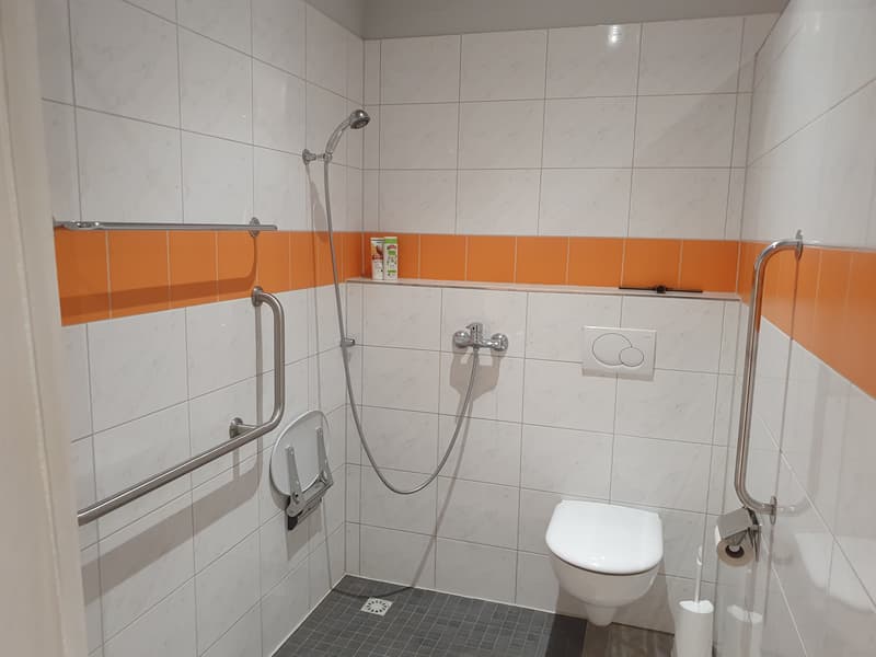 STUDIO IN WAHLENDORF (BE), MÖBLIERT, TEMPORÄR (5)