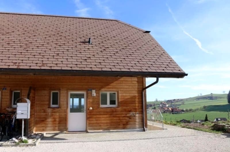 4½ ZI-WOHNUNG IN LANZENHÄUSERN (BE), MÖBLIERT, TEMPORÄR (9)
