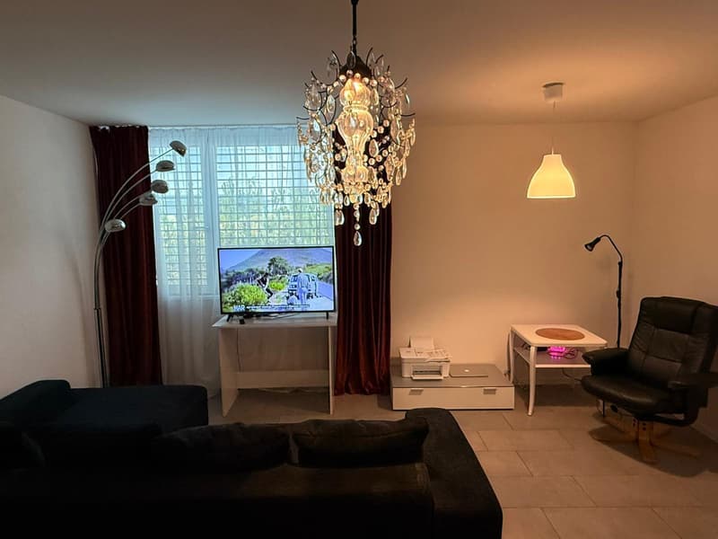 2½ ZI-WOHNUNG IN ZÜRICH - KREIS 11 OERLIKON, MÖBLIERT, TEMPORÄR (2)