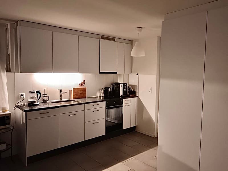 2½ ZI-WOHNUNG IN ZÜRICH - KREIS 11 OERLIKON, MÖBLIERT, TEMPORÄR (4)