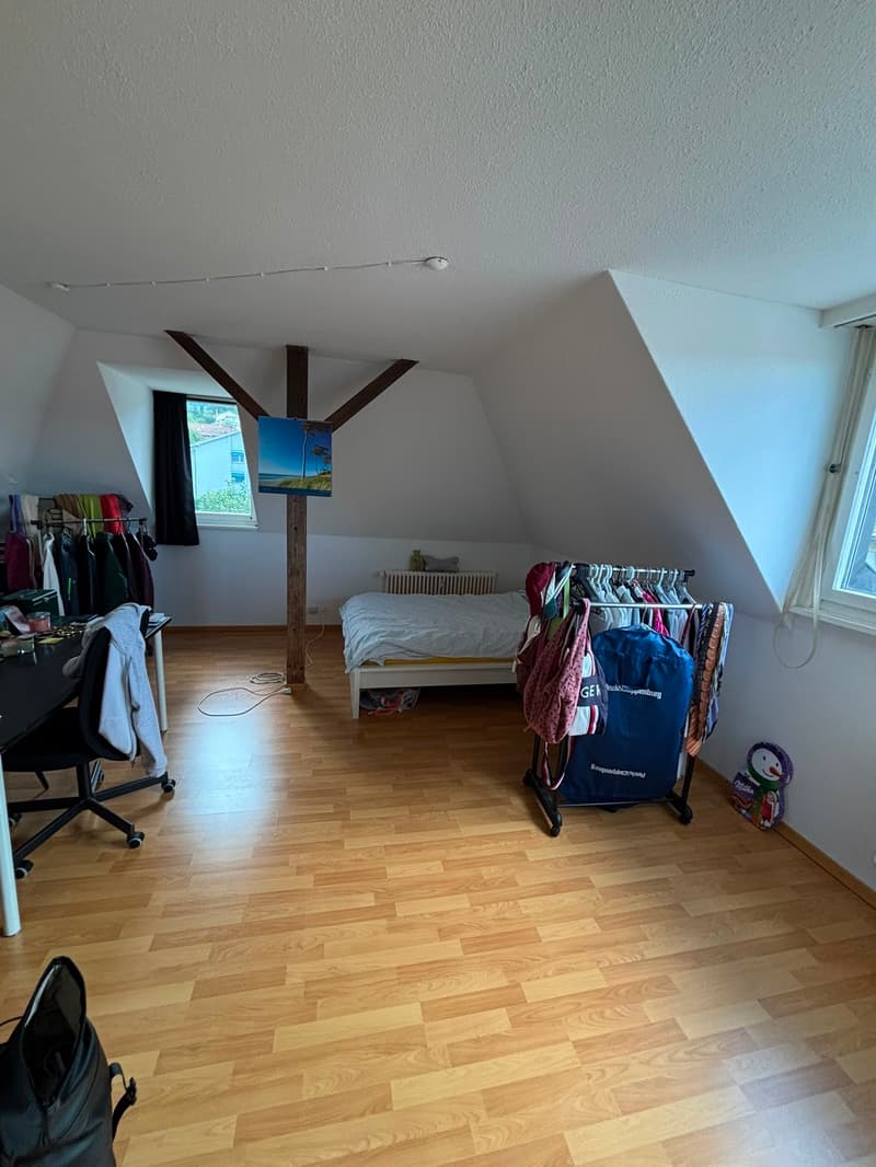 1½ ZI-WOHNUNG IN ST. GALLEN - ST. FIDEN/NEUDORF, MÖBLIERT, TEMPORÄR (1)