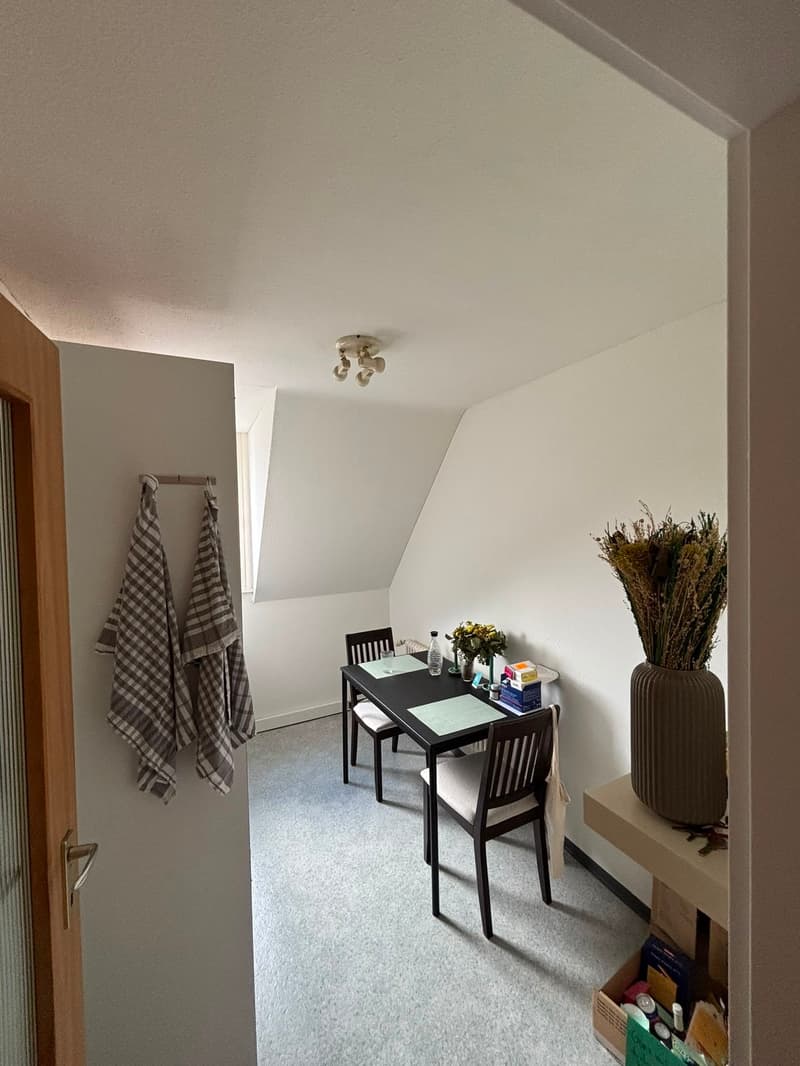 1½ ZI-WOHNUNG IN ST. GALLEN - ST. FIDEN/NEUDORF, MÖBLIERT, TEMPORÄR (3)