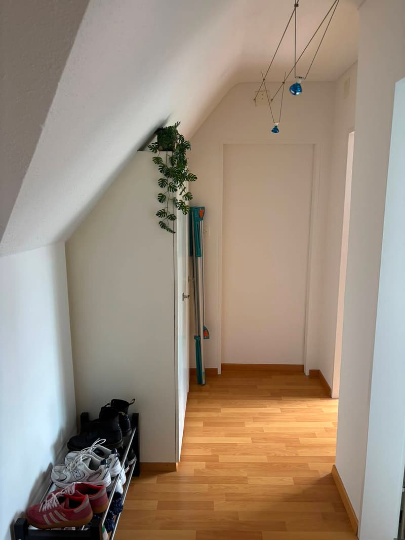 1½ ZI-WOHNUNG IN ST. GALLEN - ST. FIDEN/NEUDORF, MÖBLIERT, TEMPORÄR (4)
