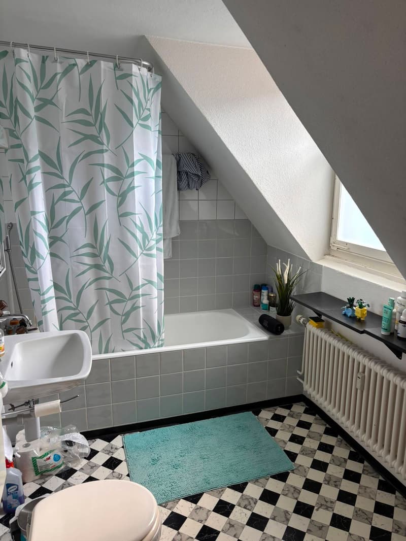 1½ ZI-WOHNUNG IN ST. GALLEN - ST. FIDEN/NEUDORF, MÖBLIERT, TEMPORÄR (5)