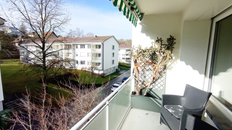 3½ ZI-WOHNUNG IN BERN - WEISSENBÜHL, MÖBLIERT, TEMPORÄR (7)