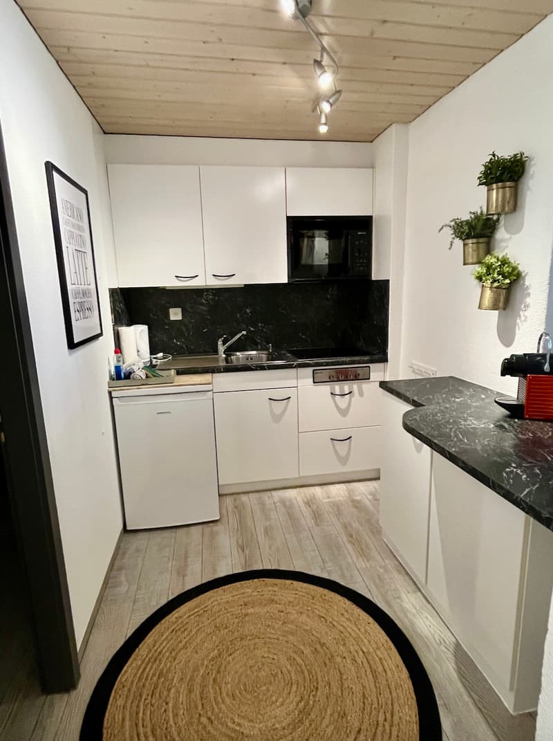 2 ZI-WOHNUNG IN STECKBORN (TG), MÖBLIERT (5)