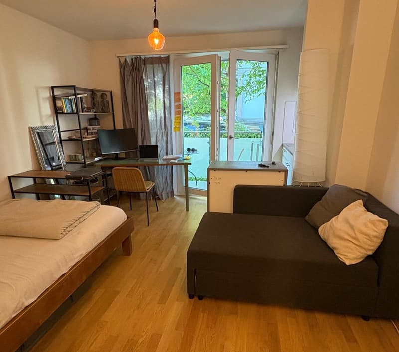 1 ZI-WOHNUNG IN ZÜRICH - KREIS 8, MÖBLIERT, TEMPORÄR (1)