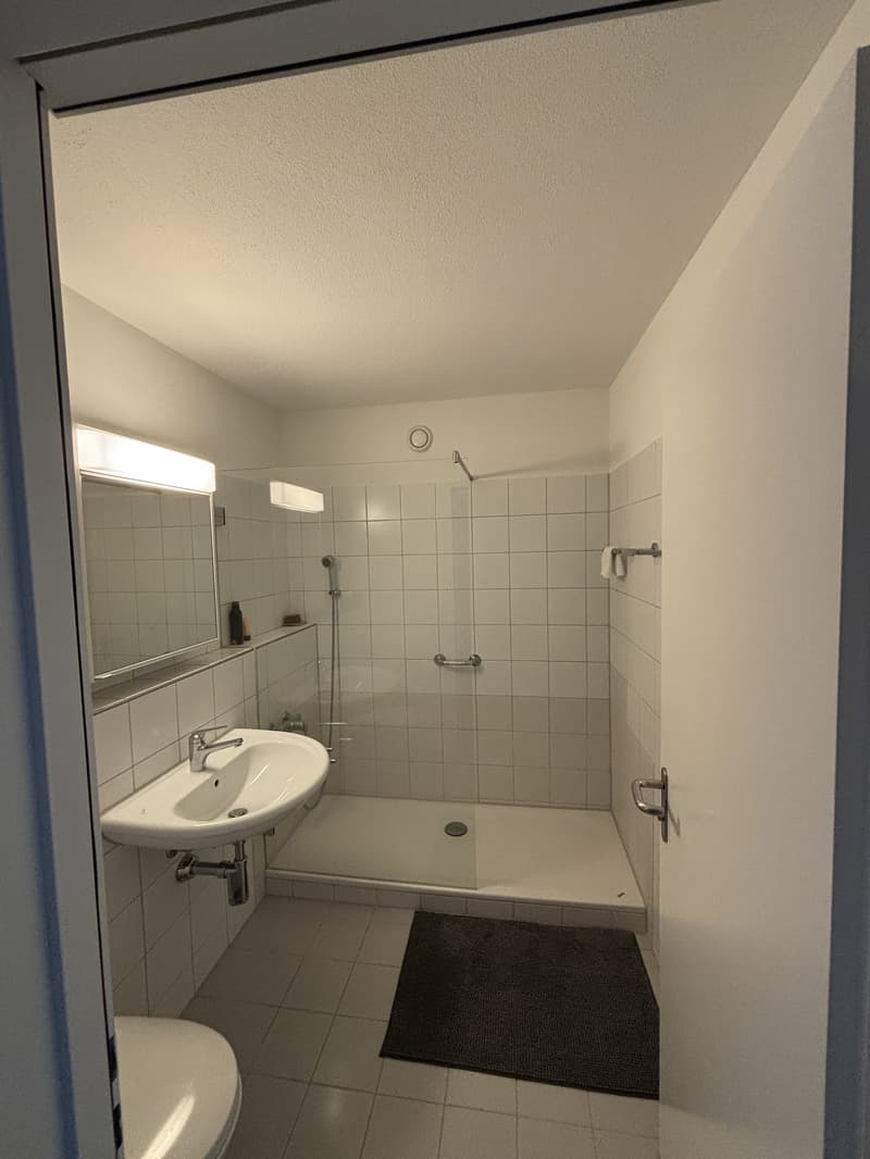 3 ZI-WOHNUNG IN HÜNENBERG SEE (ZG), MÖBLIERT, TEMPORÄR (9)