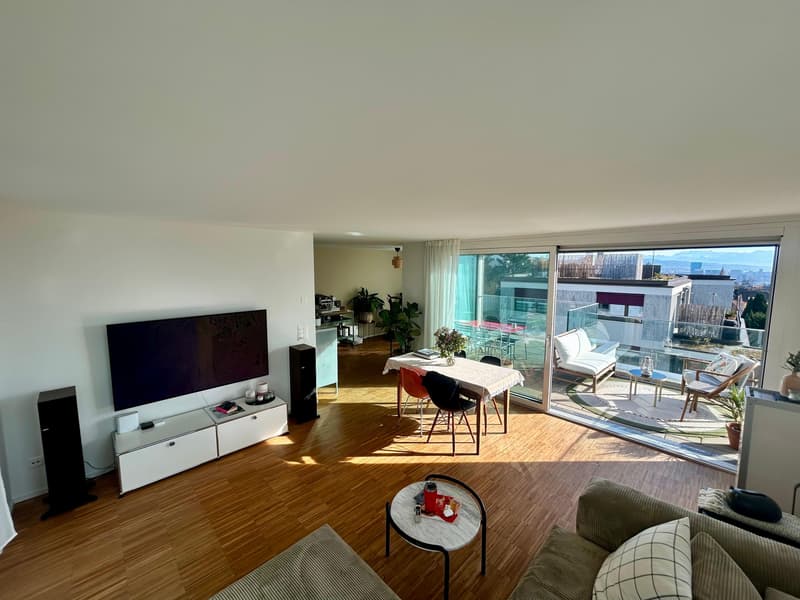 3½ ZIMMER-ATTIKAWOHNUNG IN ZÜRICH - KREIS 10 HÖNGG, MÖBLIERT, TEMPORÄR (3)