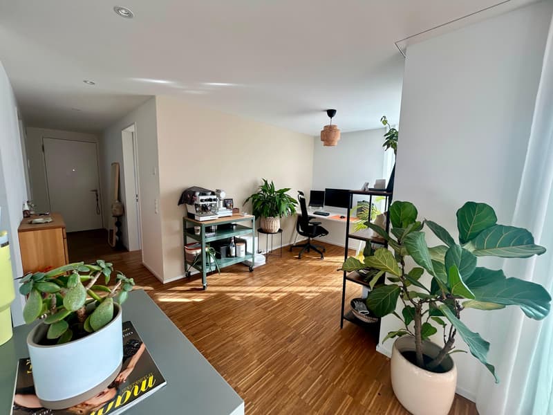 3½ ZIMMER-ATTIKAWOHNUNG IN ZÜRICH - KREIS 10 HÖNGG, MÖBLIERT, TEMPORÄR (4)