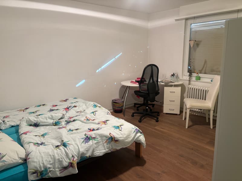 5½ ZIMMER-HAUS IN HOMBRECHTIKON (ZH), MÖBLIERT, TEMPORÄR (4)