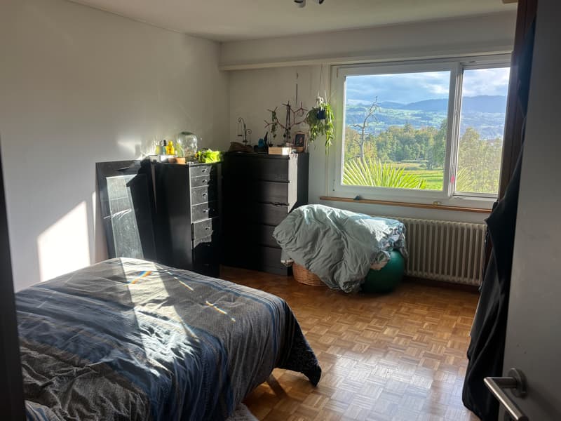 5½ ZIMMER-HAUS IN HOMBRECHTIKON (ZH), MÖBLIERT, TEMPORÄR (3)