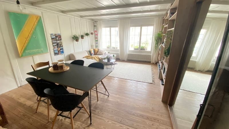 2 ZI-WOHNUNG IN BERN - MATTE, MÖBLIERT, TEMPORÄR (2)