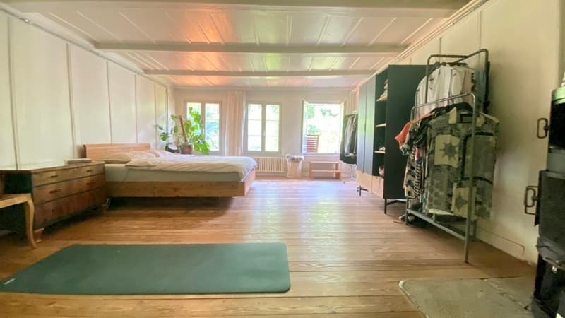 2 ZI-WOHNUNG IN BERN - MATTE, MÖBLIERT, TEMPORÄR (4)