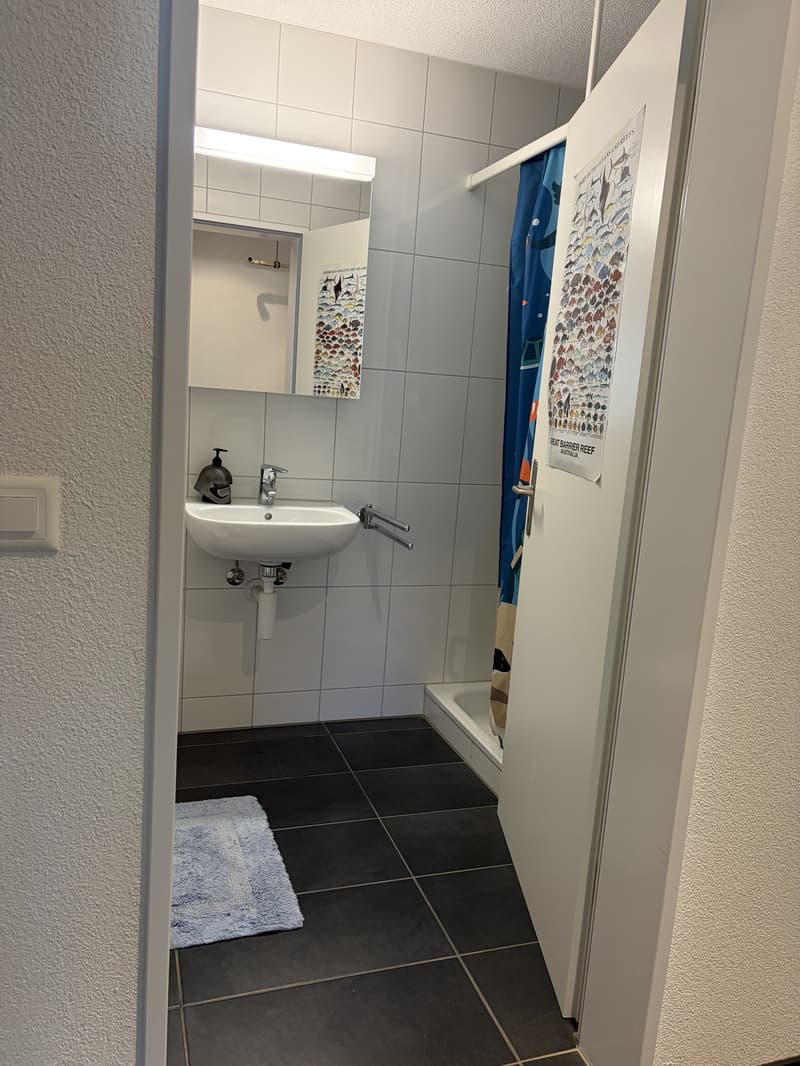 3½ ZI-WOHNUNG IN PERLEN (LU), MÖBLIERT, TEMPORÄR (8)